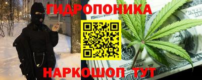 прущие грибы Пенза