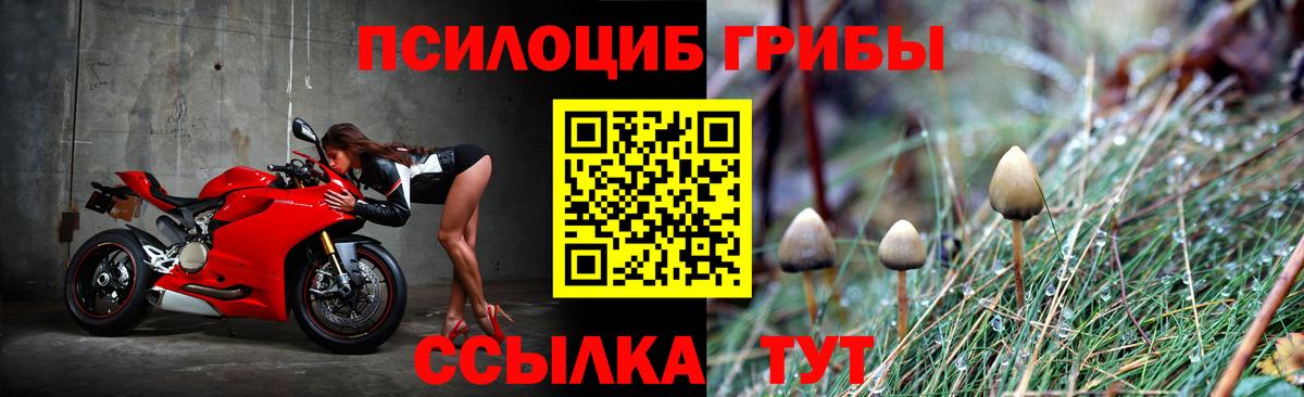 Галлюциногенные грибы MAGIC MUSHROOMS Семёнов
