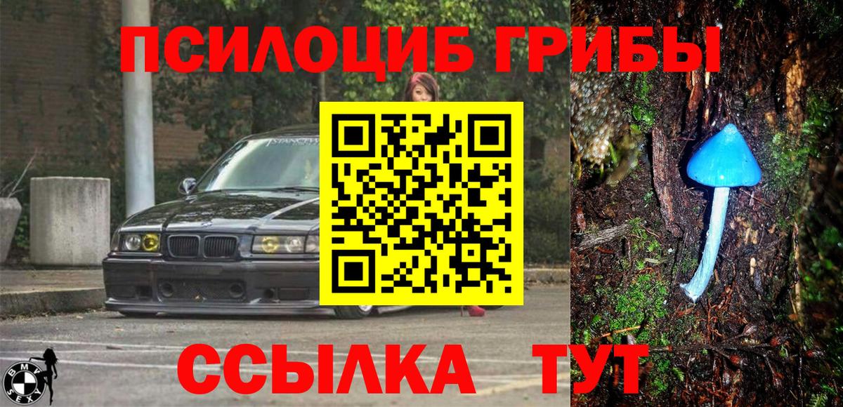 Семёнов  Галлюциногенные грибы Magic Shrooms  Вход с VPN  хочу   Псилоцибиновые грибы GOLDEN TEACHER 